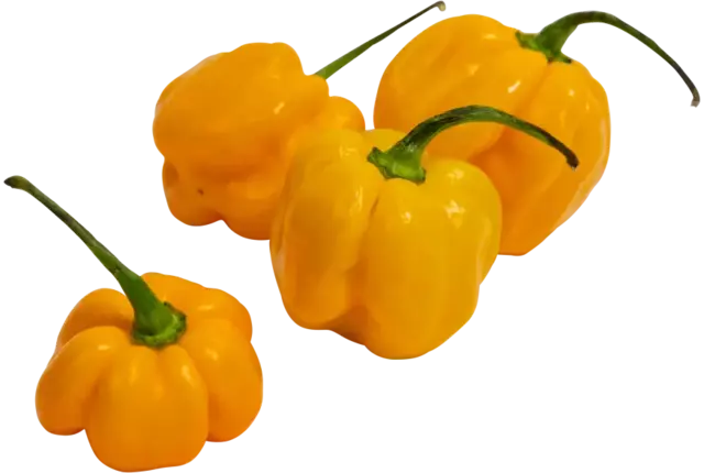 Madame jeanet pepers geel verpakt 250gr stuk